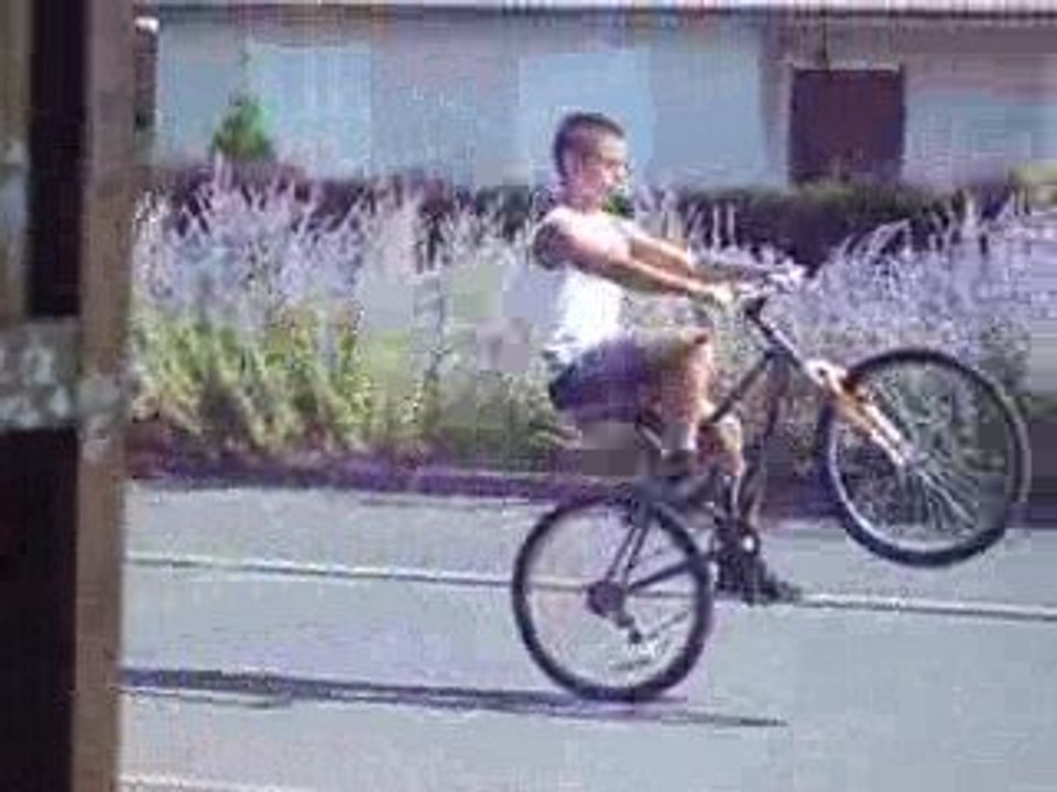 wheel-video