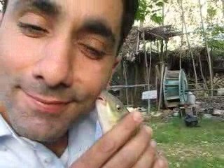 ferhat badur köpek balığı ile boğuşurken