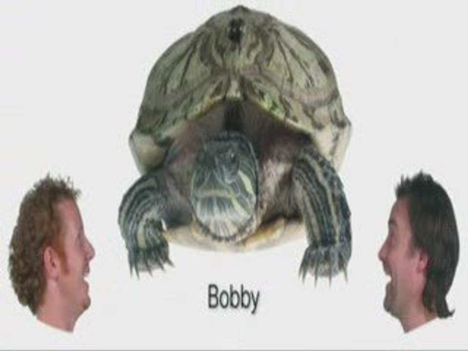 david Hewlett in Nothing french part 5