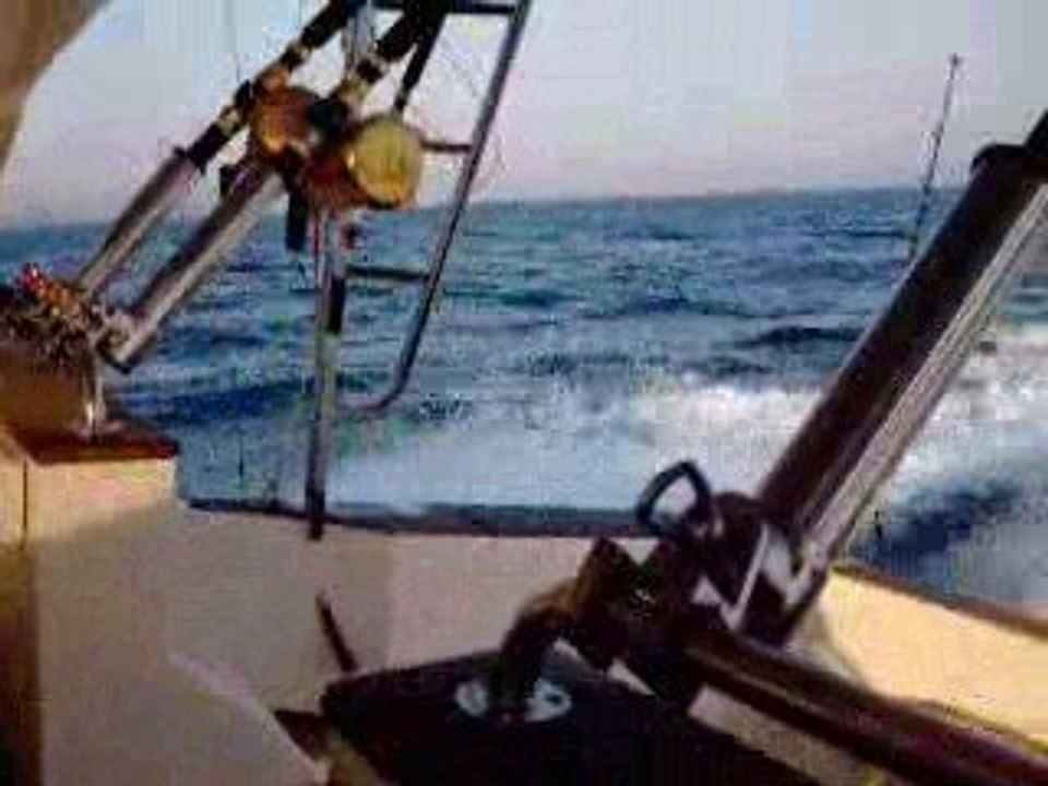 PECHE SPORTIVE MEDITERRANNEE