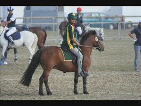 Allez Les Verts Lamotte 2009 part.2