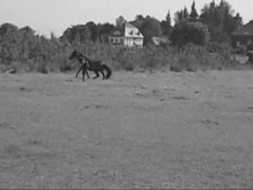 Clip présentation