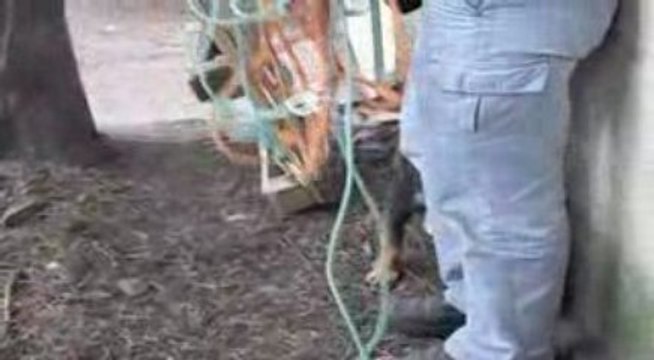 Palou, premiers pas dehors !