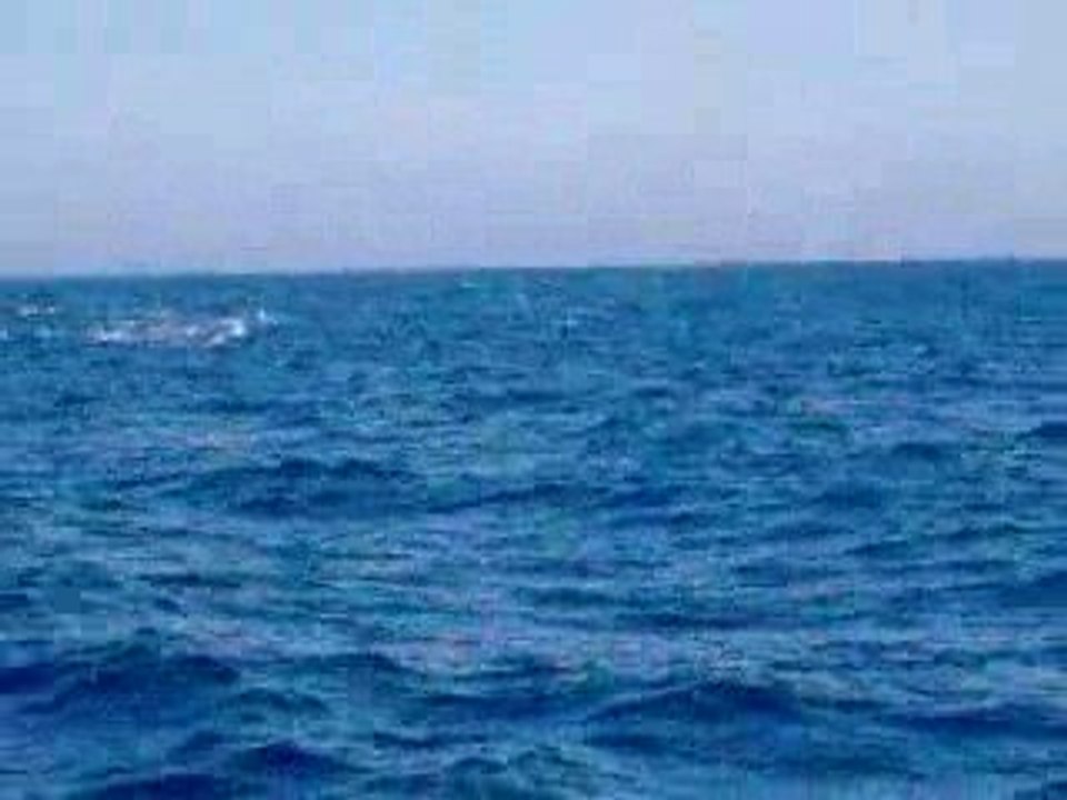 PECHE SPORTIVE MEDITERRANNEE