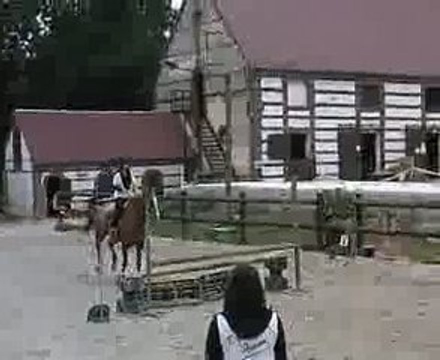 SAUT