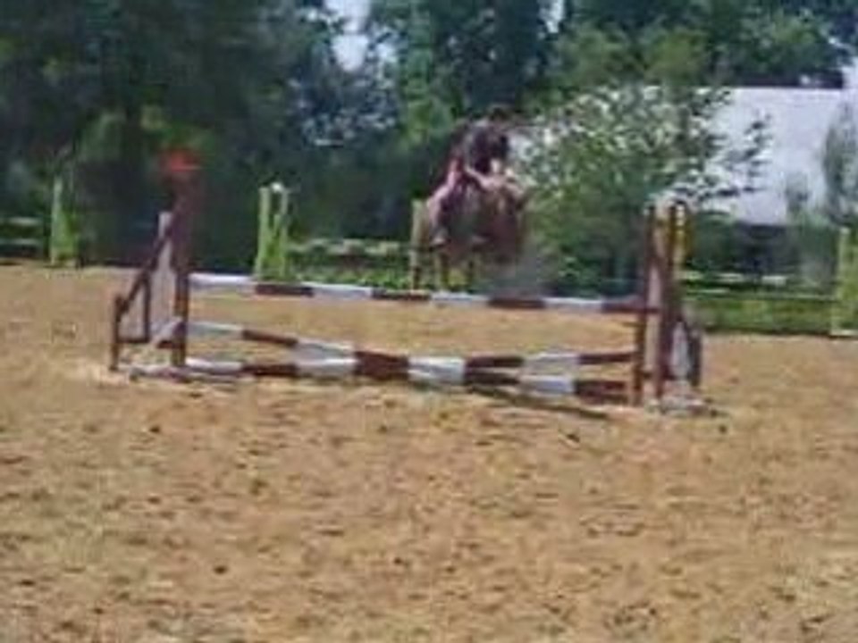 Moii et Neptune cour de saut