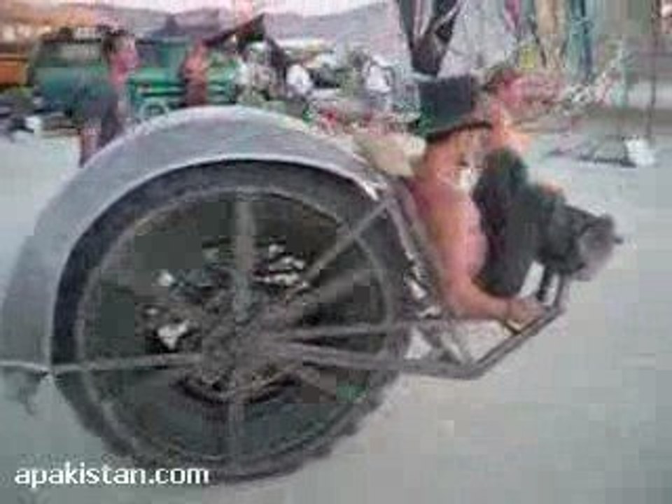 The One Wheeled Vehicle