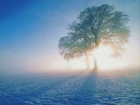 Cantique Gitan Samuel