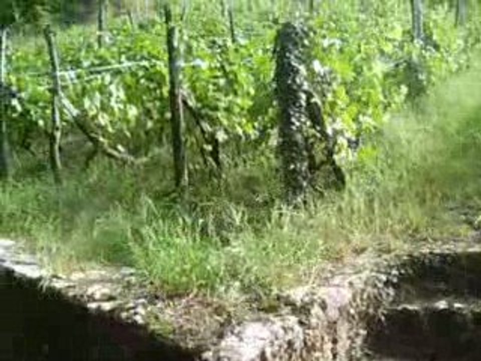 balade