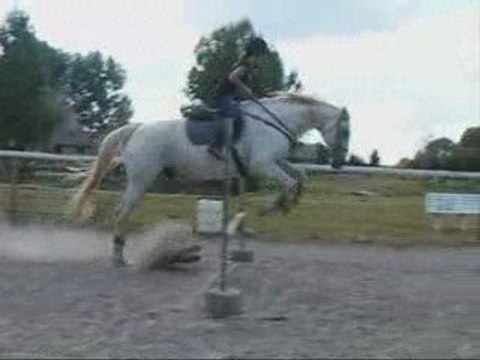 Un peu de Saut d'obstacle avec Calif (cours du 22.08.2009).