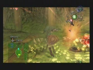 Zelda Twilight Princess [08] "Le boomerang magique"