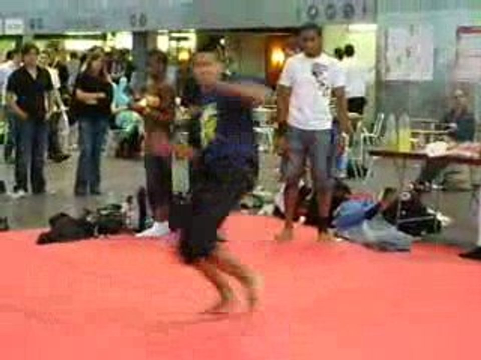 Japan Expo 2008 - Arts Martiaux