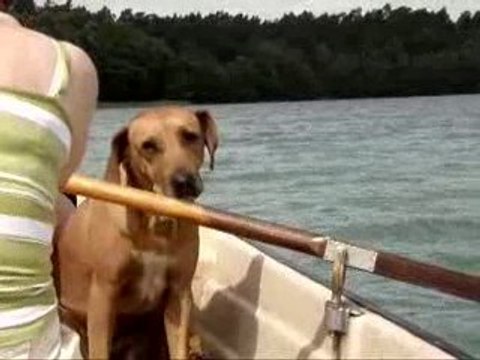 Holidays '2009 part1 - Lake Dluszek = Jezioro Dłużek