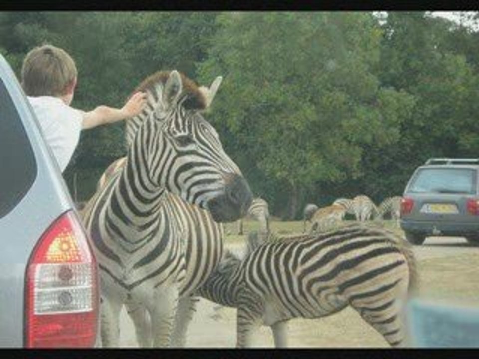 safari a planète sauvage