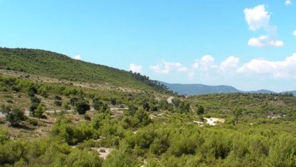 Forêt Lubéron Cigales Provence-Panorama 360°