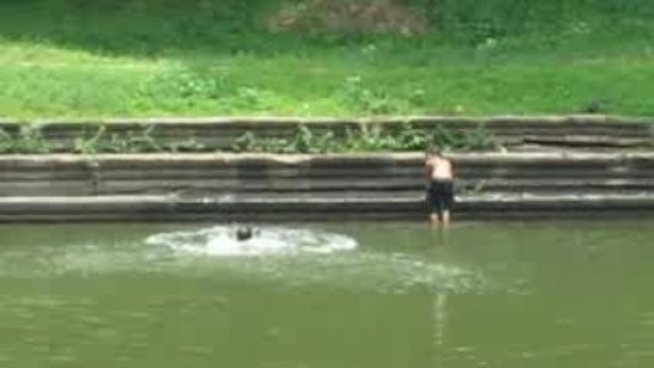 Gamins sautant dans le bassin d'un temple d'Angkor