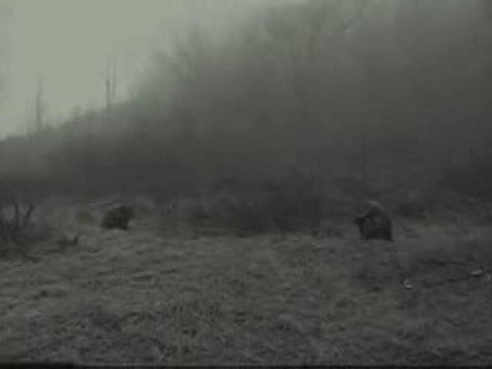 Öröm  ~  Csondben...