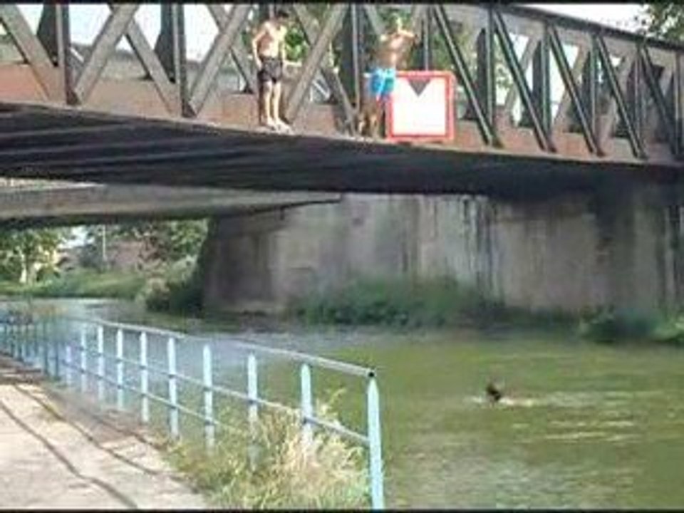 plongeon du pont