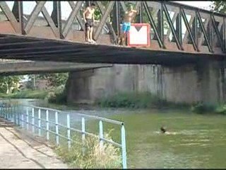 plongeon du pont