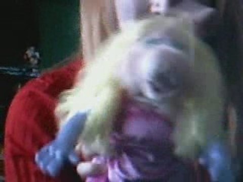 I'm just saying, babies and puppies