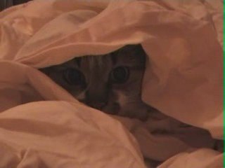 Ulysse sous les draps