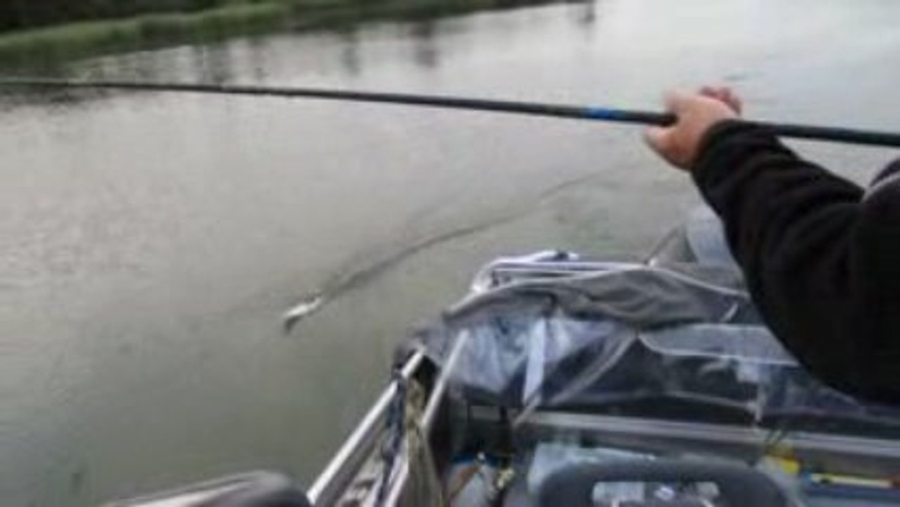 SUDAK AVIM 22.8.2009 003