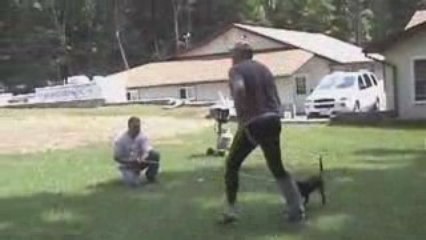 ARF Training Halo Goes To Harvard