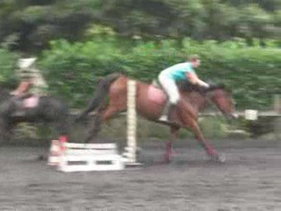 Sophie à l'obstacle