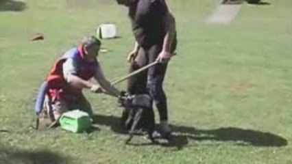 ARF PennsWoods French Ring Seminar Halo