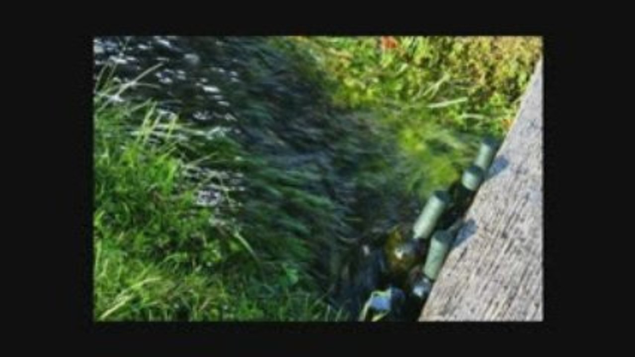 BHW 2009 Kumpfmuehle