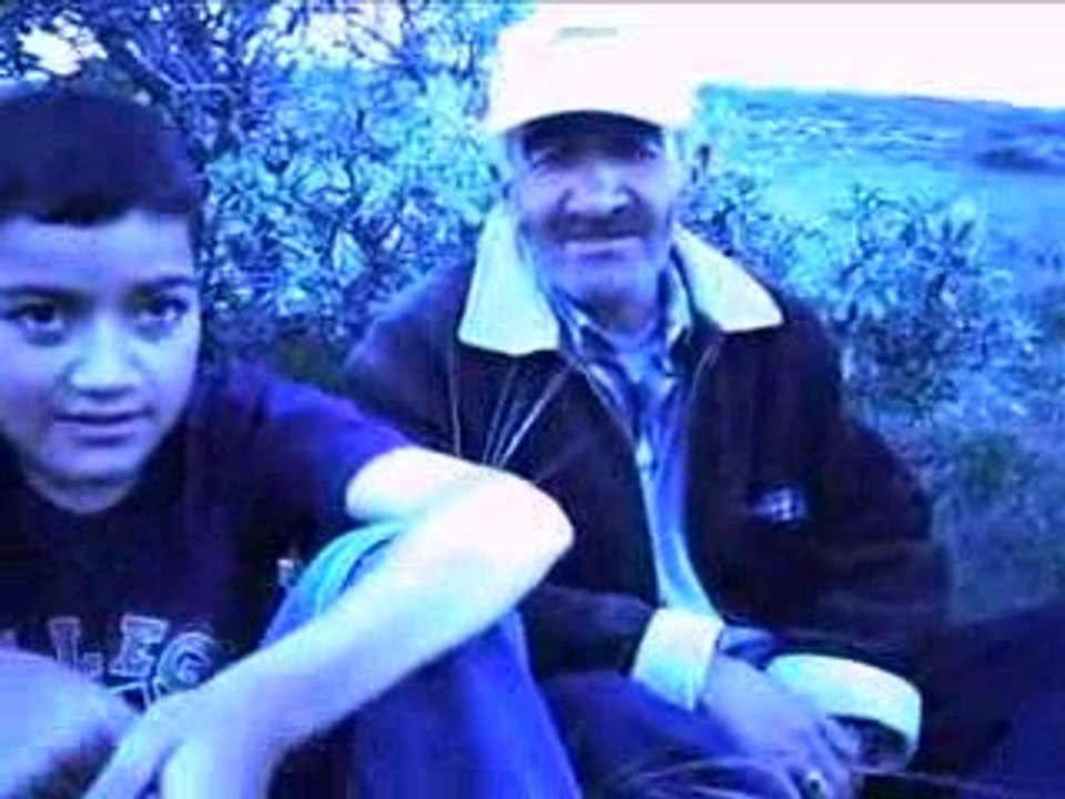 harmanımı yeller almış