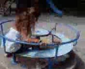 Eva et le tourniquet =x