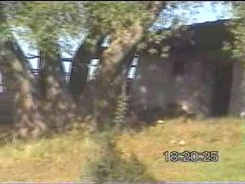 guzelbeyli kasabası yaylaları