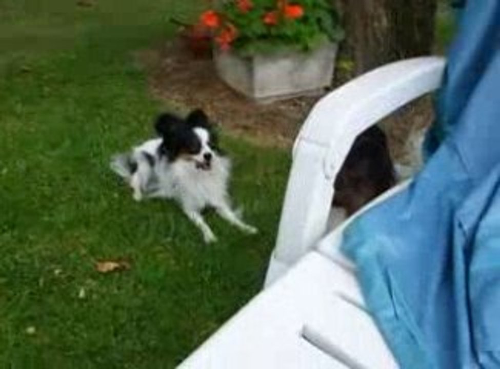 Leur rencontre