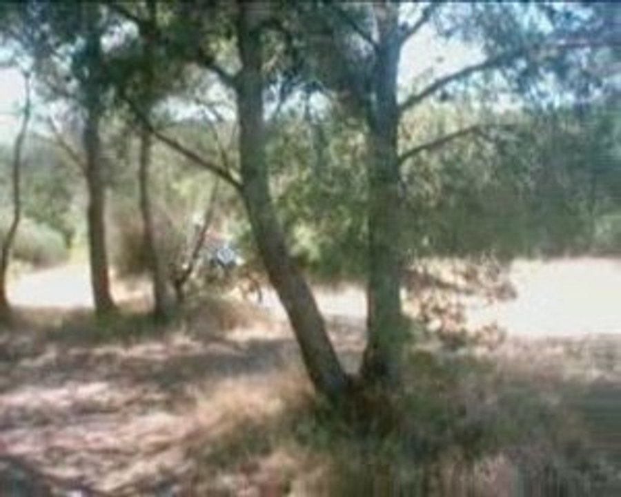 petite sorti avc clem