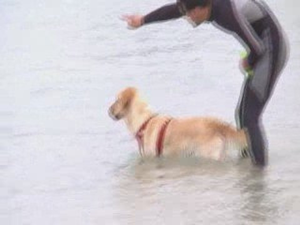 sauvetage à l'eau - Djinnie - Aout 2009