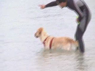 sauvetage à l'eau - Djinnie - Aout 2009