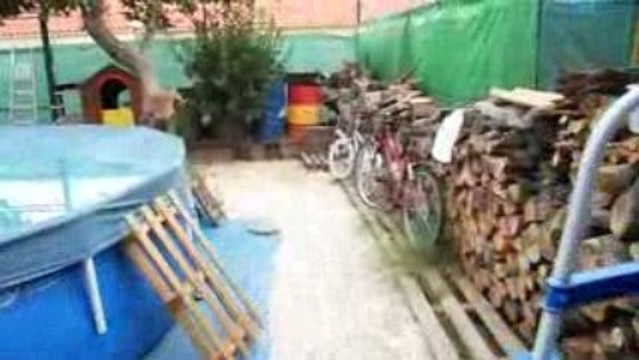 SDC11579