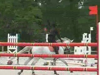 Galop obstacle à Ecluzelles de Sophie 1ère fois