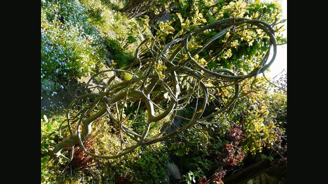 Un Matin d'avril Sculptures-Vivantes