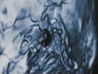 King Tut_s Tomb -- National Geographic