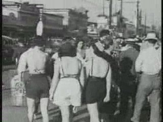 Coney Island: New York's Playground Robert Moses