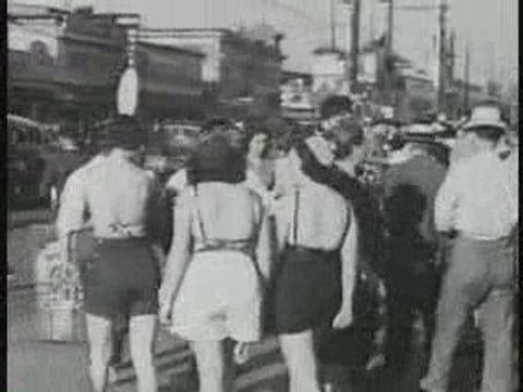 Coney Island: New York's Playground Robert Moses