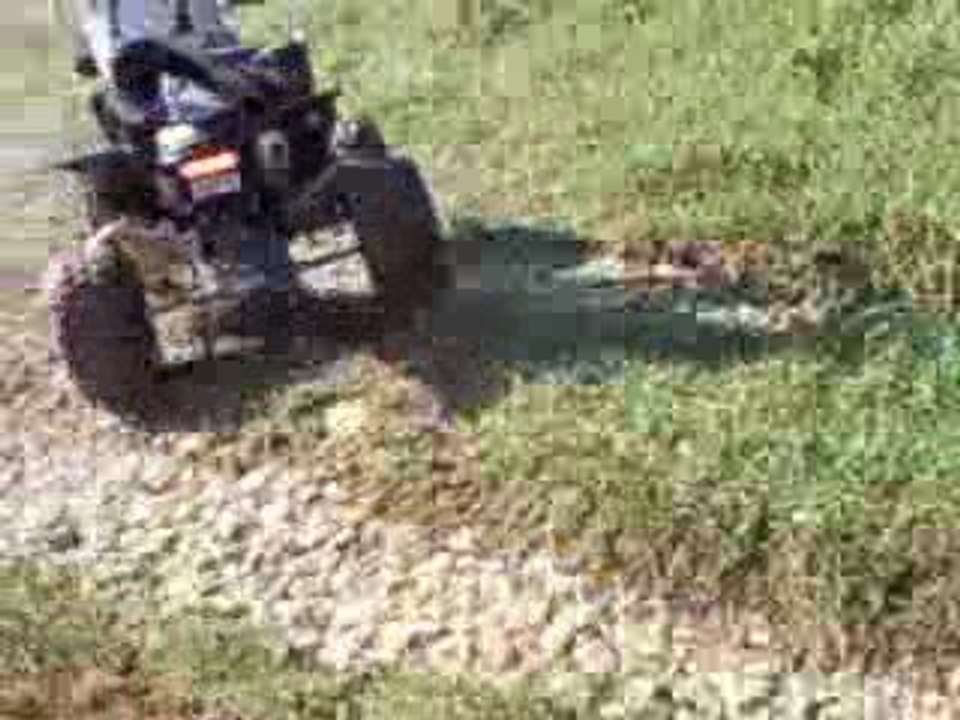 Ruggiero,Cho & Manolito