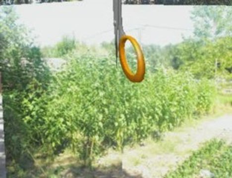 la journée pas de calais et bairon