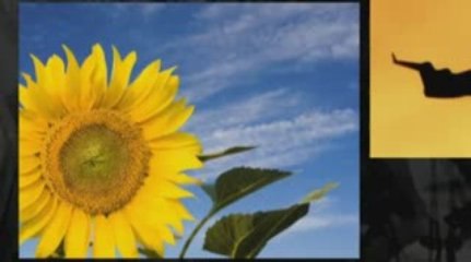 Building Solar Panels