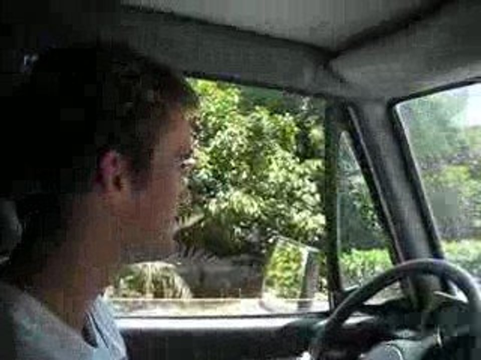 Trajet dans la Palmeraie