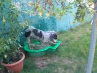 2009-08-23 Piscine Capucine