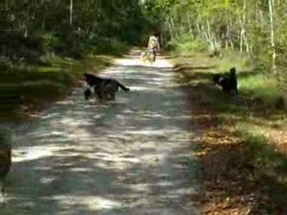 Promenade d'été 1, aout 2009
