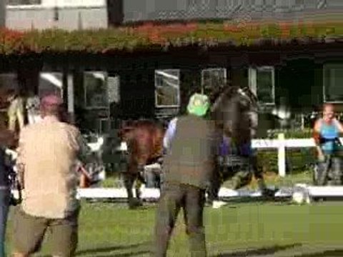 International Welsh Show Holland 2009